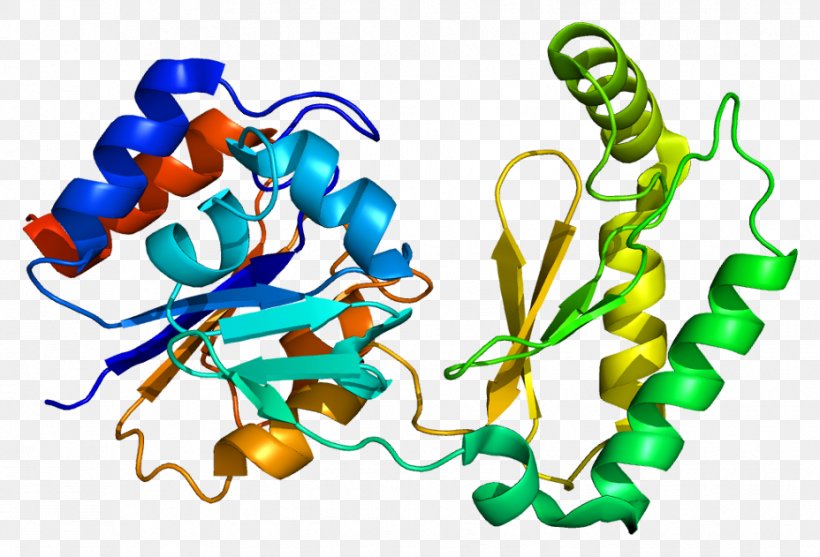 PMM1 Phosphomannomutase Mannose Enzyme Gene, PNG, 928x631px, Mannose, Artwork, Enzyme, Enzyme Commission Number, Gene Download Free