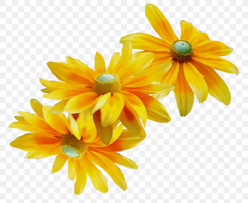 Clip Art Flower Chrysanthemum Music, PNG, 1280x1050px, Flower, Artificial Flower, Blackeyed Susan, Blog, Blume Download Free