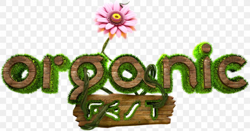 2016 Recap Logo Brand Video, PNG, 1007x528px, Logo, Brand, Flower, Grass, Plant Download Free