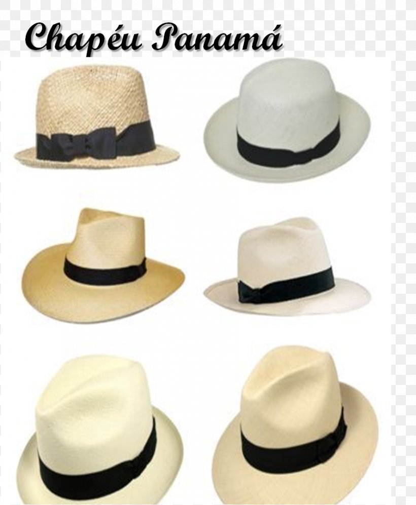 Fedora Panama Hat Fashion Sun Hat, PNG, 888x1080px, 2016, 2017, Fedora, Beach, Cake Download Free