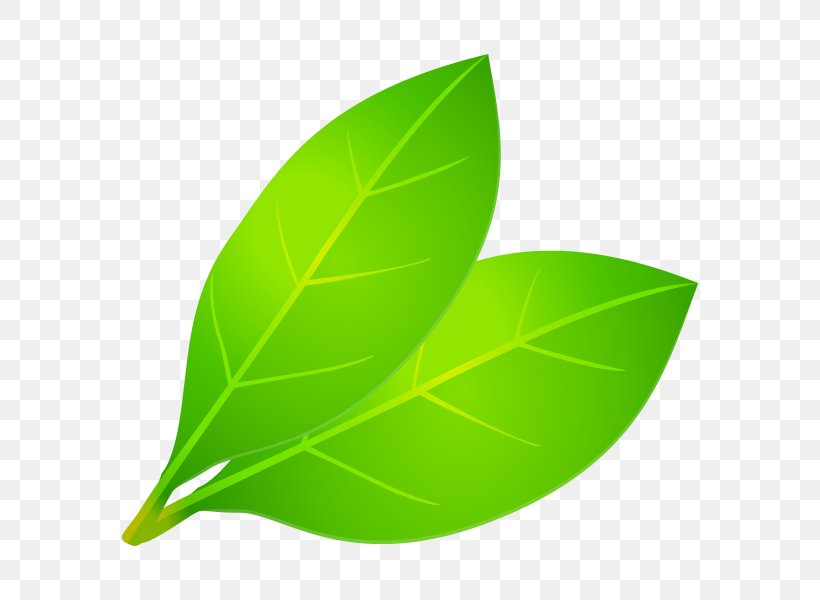 Leaf Root Water Fertilisers Health, PNG, 600x600px, Leaf, Fertilisers, Green, Health, Hippocrates Download Free