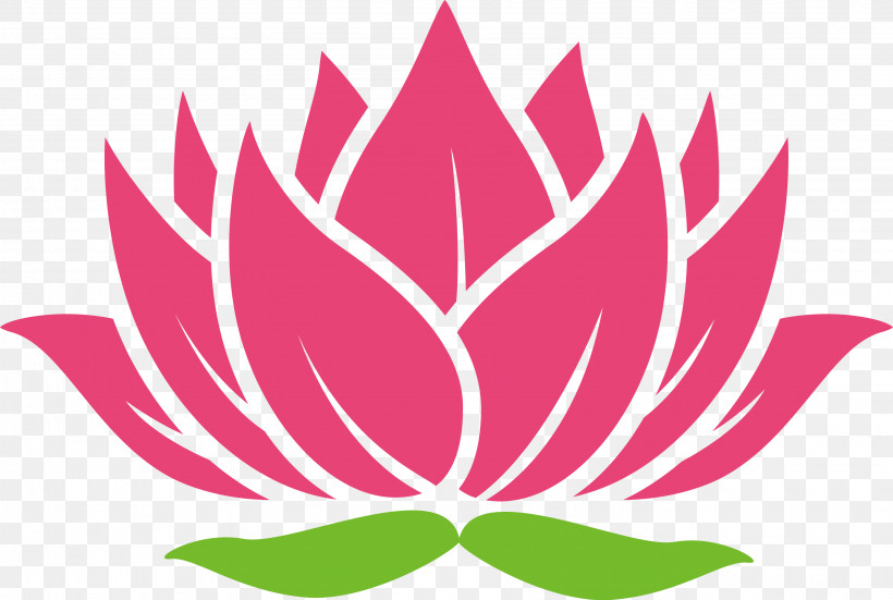 Lotus Flower, PNG, 3185x2142px, Lotus, Aquatic Plant, Flower, Leaf, Lotus Family Download Free