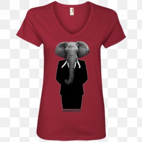 T Shirt Cat Denis Roblox Clothing Png 1024x1024px Tshirt Cat Cat Like Mammal Clothing Dantdm Download Free - t shirt denis transparent roblox