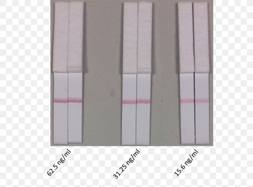 Biotinylation Antibody Scientist Floor, PNG, 562x606px, Biotinylation, Antibody, Biotin, Floor, Flooring Download Free