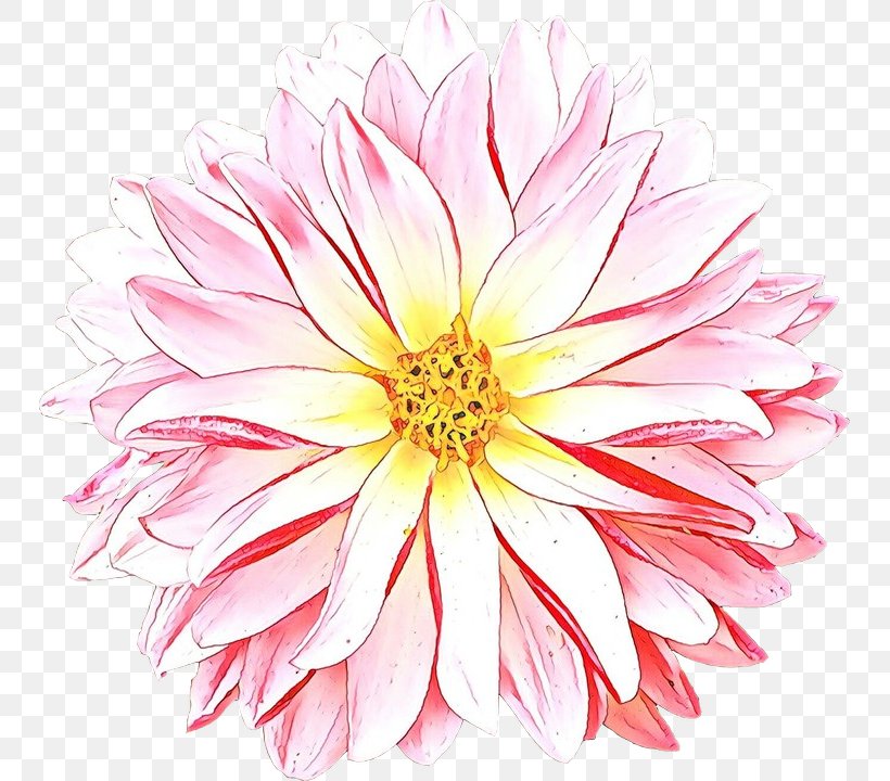 Flowers Background, PNG, 747x720px, Chrysanthemum, Annual Plant, Artificial Flower, Aster, Asterales Download Free
