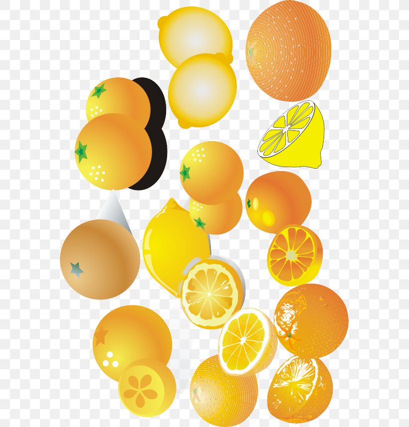 Lemon Mandarin Orange Valencia Orange, PNG, 579x856px, Lemon, Citric Acid, Citrus, Egg, Food Download Free
