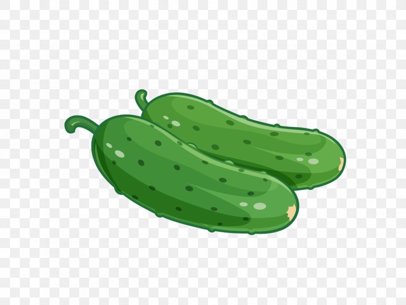 Cucumber Cartoon Vegetable Poster, PNG, 2362x1772px, Cucumber, Art, Cartoon, Cucumber Gourd And Melon Family, Cucumis Download Free