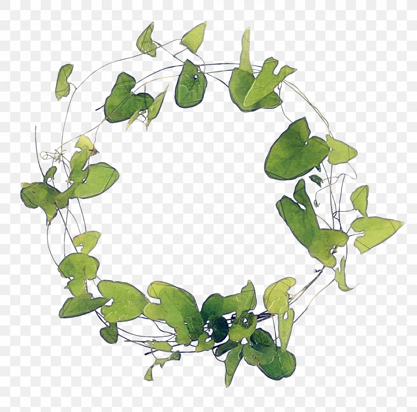 Green Leaf Ring Branch Transparency Twig, PNG, 2000x1976px, Leaf, Branch, Flower, Green Leaf Ring, Ivy Download Free