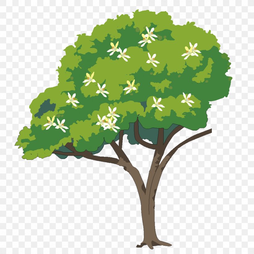 Tree 2016-05-09 Drawing English Clip Art, PNG, 1000x1000px, 2016, Tree, Branch, Drawing, Educational Game Download Free