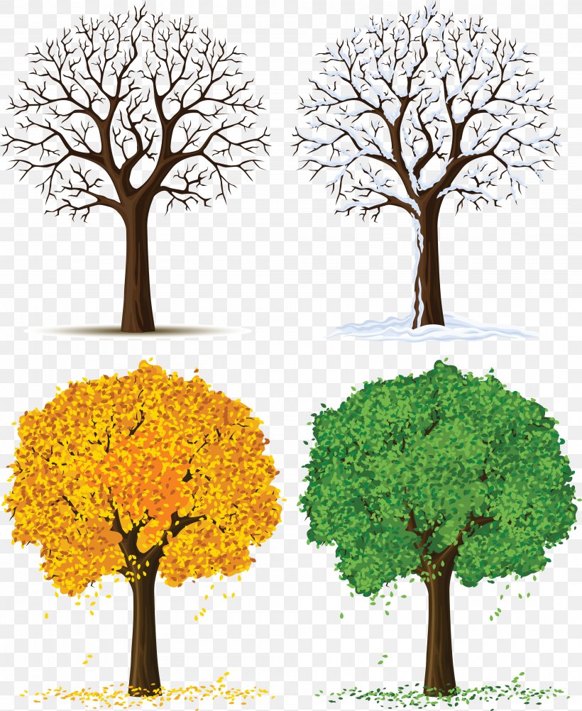 Tree Euclidean Vector Illustration, PNG, 4000x4890px, Season, Autumn, Branch, Houseplant, Leaf Download Free