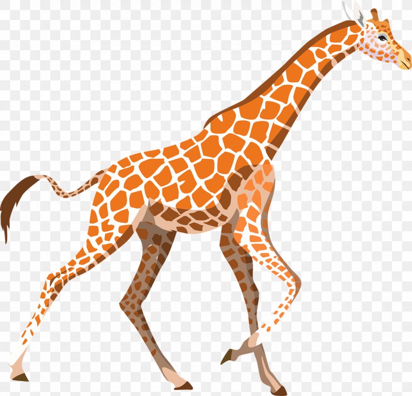 Desktop Wallpaper Northern Giraffe Clip Art, PNG, 1280x1231px, Northern Giraffe, Animal Figure, Giraffe, Giraffidae, Mammal Download Free