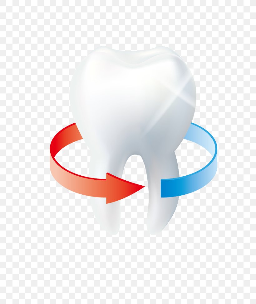 Tooth Euclidean Vector Icon, PNG, 804x976px, Watercolor, Cartoon, Flower, Frame, Heart Download Free