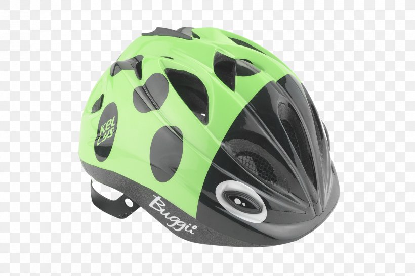 Bicycle Helmets Motorcycle Helmets Ski & Snowboard Helmets Lacrosse Helmet, PNG, 1800x1200px, Bicycle Helmets, Beetle, Bicycle Clothing, Bicycle Helmet, Bicycles Equipment And Supplies Download Free