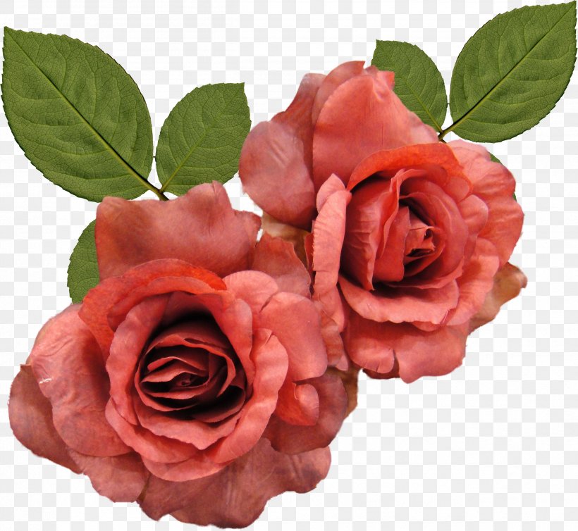 Flower Rose Clip Art, PNG, 2522x2322px, Flower, Artificial Flower, Camellia, China Rose, Color Download Free