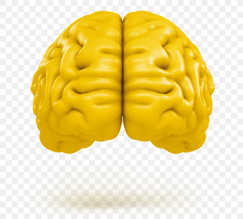 Human Brain Tremella Mesenterica Neuroimaging Agy, PNG, 739x739px, Brain, Agy, Formula, Fungus, Human Brain Download Free