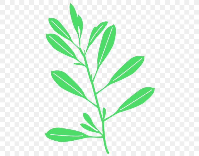 Leaf Plant Flower Plant Stem Pedicel, PNG, 473x640px, Leaf, Flower, Herbaceous Plant, Pedicel, Plant Download Free