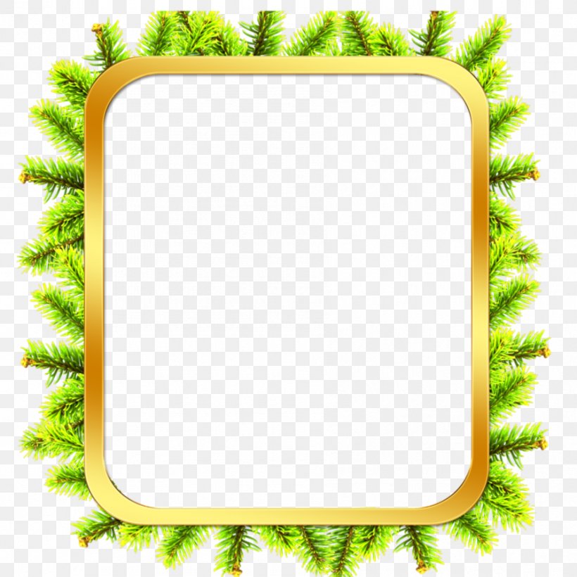 Picture Frames Tree Bark Clip Art, PNG, 894x894px, Picture Frames, Area, Bark, Birch, Branch Download Free