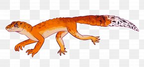 Leopard - Common Leopard Gecko Common Leopard Gecko Lizard Clip Art PNG