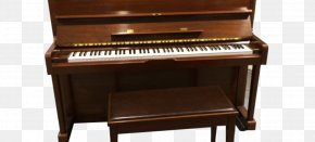 Piano - Digital Piano Electric Piano Player Piano Celesta PNG