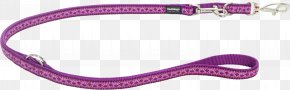 Dog - Dingo Dog Leash Blue Centimeter PNG