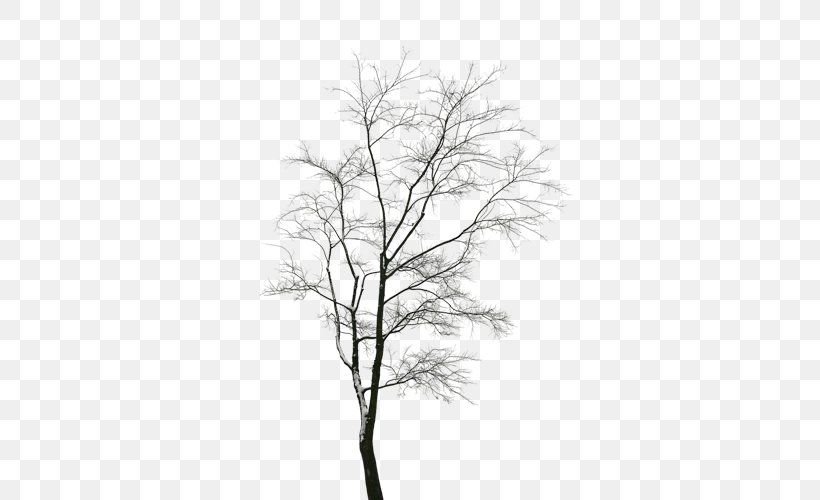 Download Computer File, PNG, 500x500px, Tree, Black And White, Branch, Leaf, Monochrome Download Free