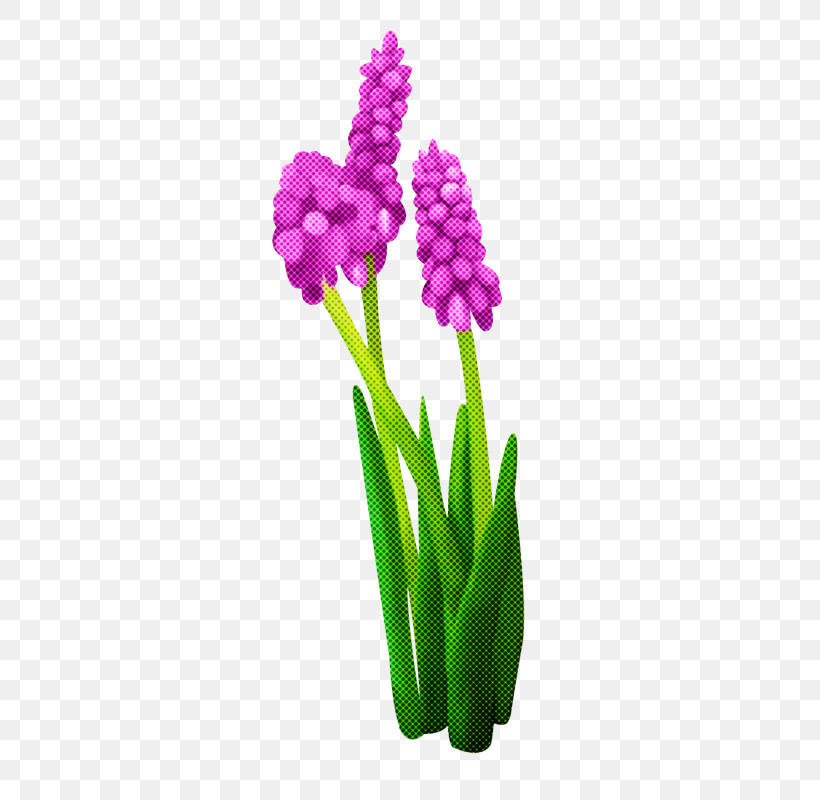 Flower Plant Cut Flowers Purple Pink, PNG, 347x800px, Flower, Cut Flowers, Herbaceous Plant, Magenta, Petal Download Free