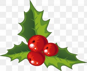 Holly Images Holly Transparent Png Free Download