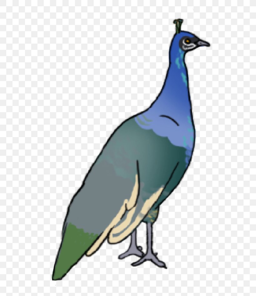 Beak Bird Galliformes Feather Clip Art, PNG, 601x950px, Beak, Bird, Fauna, Feather, Galliformes Download Free