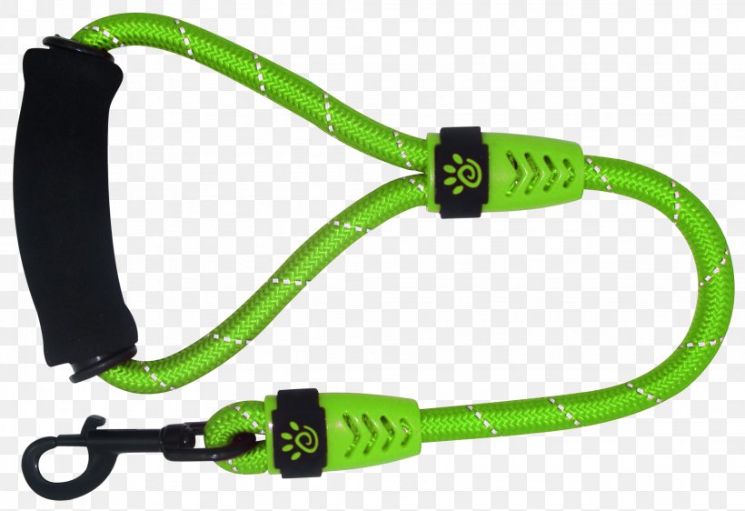 Leash American Pit Bull Terrier Dobermann Dog Harness Dog Collar, PNG, 2048x1406px, Leash, American Pit Bull Terrier, Collar, Companion Dog, Dobermann Download Free