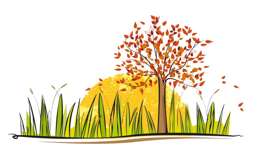 Autumn Tree Silhouette, PNG, 1024x610px, Drawing, Autumn, Fantasy Tree, Flower, Grass Download Free