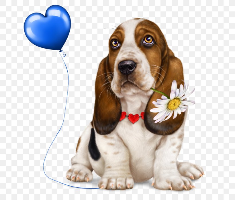 Basset Hound Puppy Basset Artésien Normand Dog Breed Beagle, PNG, 700x700px, Basset Hound, American Kennel Club, Beagle, Canidae, Companion Dog Download Free
