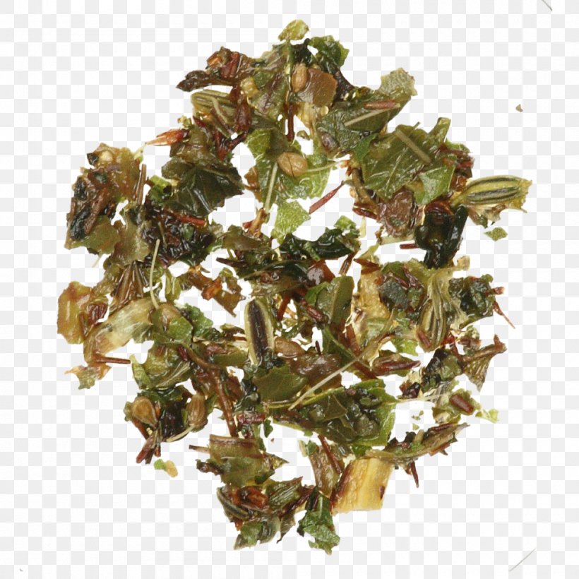 Tree Leaf Vegetable Herb, PNG, 1000x1000px, Tree, Herb, Leaf Vegetable, Plant Download Free