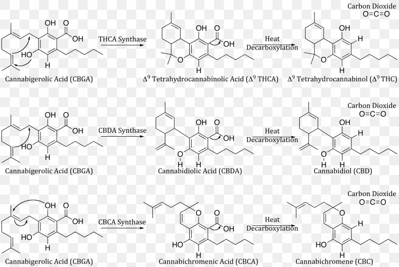 Cannabidiol Tetrahydrocannabinol Cannabigerol Cannabis Cannabinoid, PNG, 2251x1508px, Watercolor, Cartoon, Flower, Frame, Heart Download Free