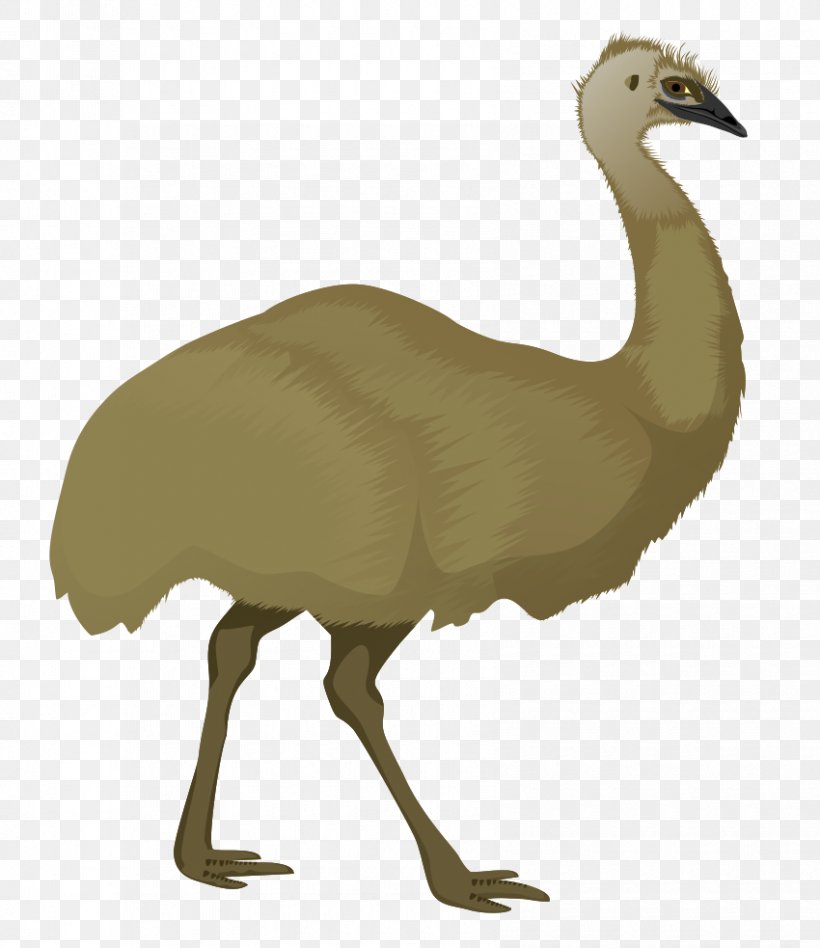 Emu Stock.xchng Royalty-free Clip Art, PNG, 850x983px, Emu, Beak, Bird, Blog, Crane Like Bird Download Free
