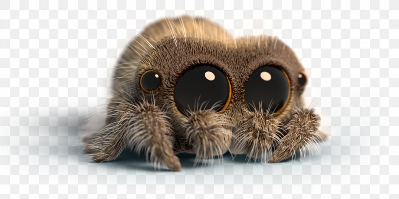 Lucas The Spider Video YouTube Animation, PNG, 942x471px, Spider, Animation, Arachnid, Arthropod, Despacito Download Free