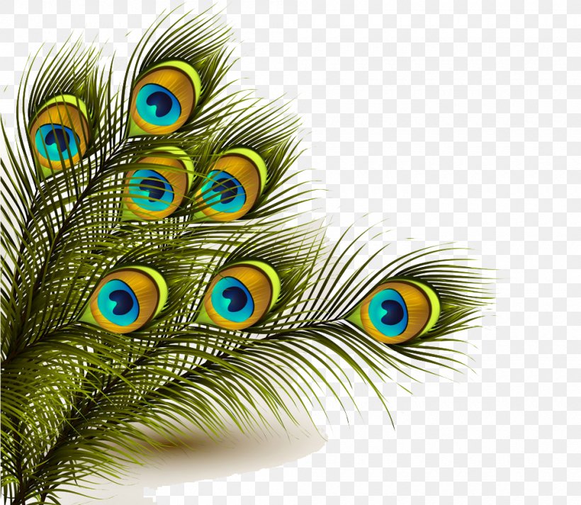 Peafowl Feather Peacock Clip Art, PNG, 1000x870px, Peafowl, Beak, Close Up, Feather, Indian Peafowl Download Free