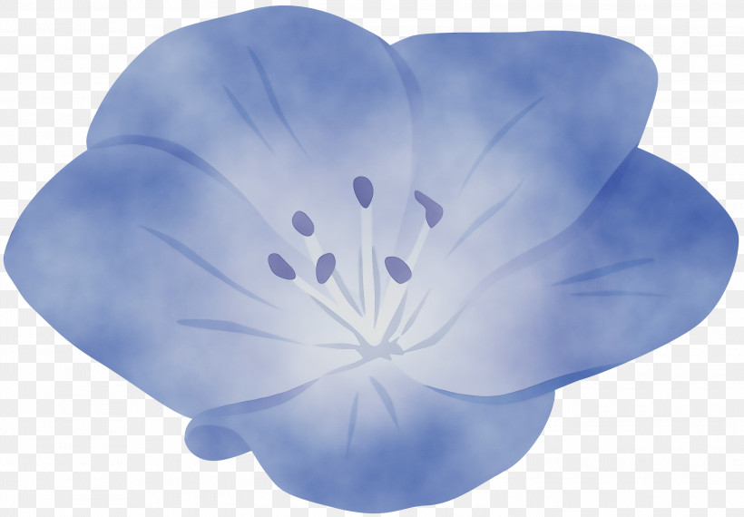 Petal Blue Leaf Flower Plant, PNG, 3000x2089px, Watercolor, Blue, Flower, Leaf, Morning Glory Download Free