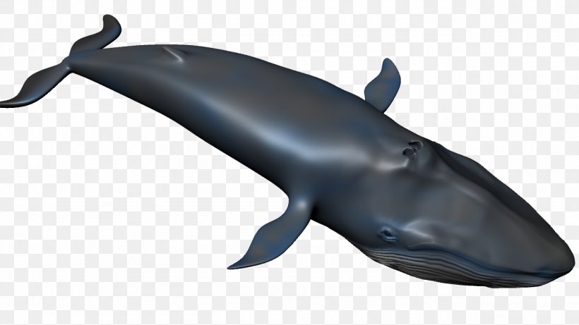 Common Bottlenose Dolphin Wholphin Tucuxi Rough-toothed Dolphin Cetacea, PNG, 1280x720px, 3d Computer Graphics, Common Bottlenose Dolphin, Animal, Animal Figure, Beluga Whale Download Free