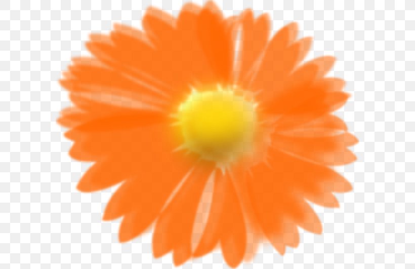 Flower Orange Clip Art, PNG, 600x531px, Flower, Calendula, Color, Daisy Family, Food Download Free