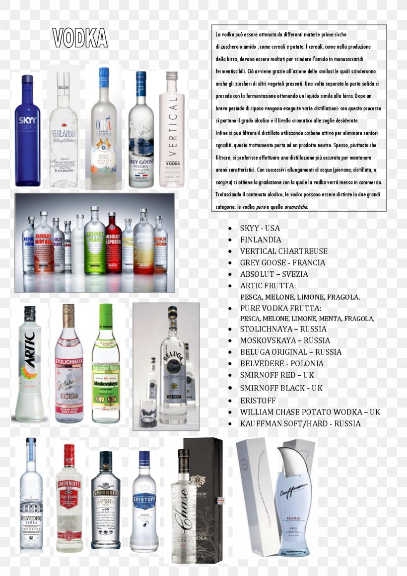 Liqueur Glass Bottle Vodka Plastic Bottle, PNG, 1240x1754px, Liqueur, Absolut Vodka, Alcohol, Alcoholic Beverage, Alcoholic Drink Download Free