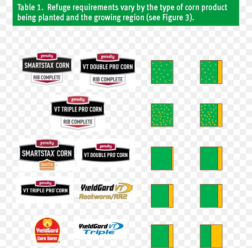 Logo Brand Product Design Organization, PNG, 737x807px, Logo, Area, Brand, Diagram, Military Rank Download Free