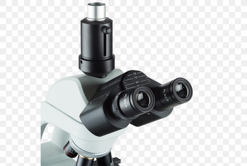 Stereo Microscope Optical Microscope Biology, PNG, 550x550px, Microscope, Biology, Camera, Camera Accessory, Degree Download Free