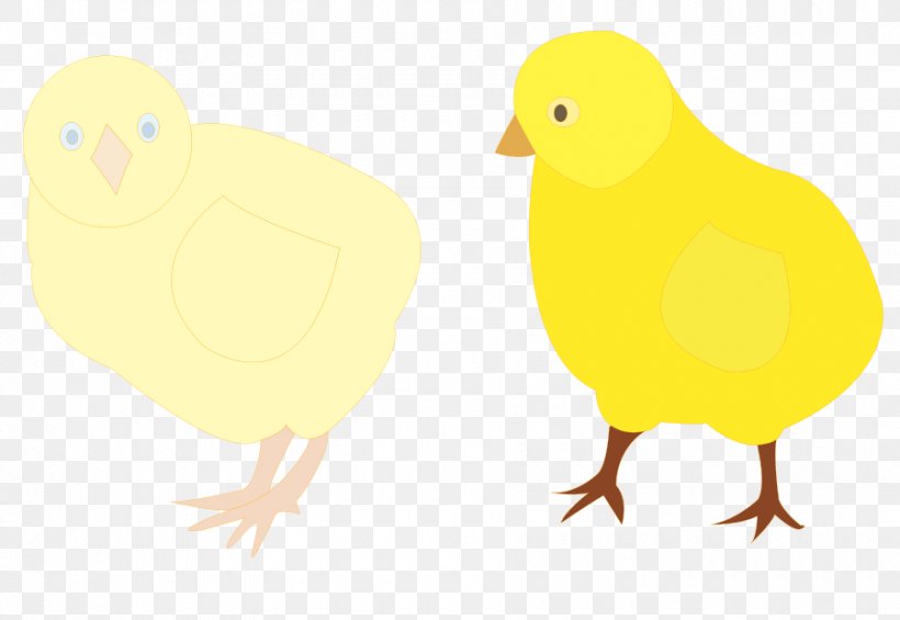Chicken Duck Clip Art, PNG, 900x621px, Chicken, Beak, Bird, Chick Chick, Display Resolution Download Free
