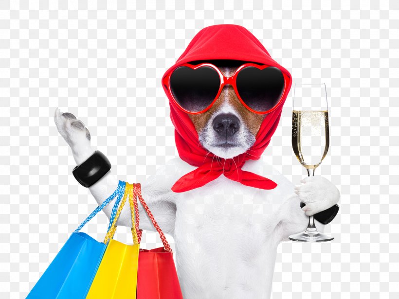 Dog Shopping Cart Stock Photography Pet Shop, PNG, 1600x1200px, Dog, Bag, Eyewear, Goggles, Istock Download Free