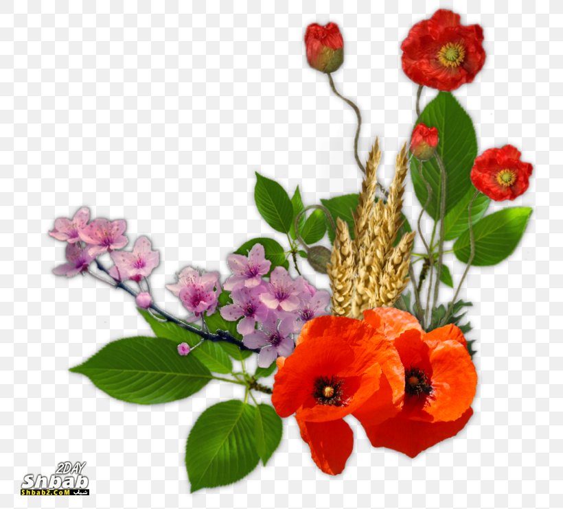 Floral Design Cut Flowers, PNG, 800x742px, Floral Design, Annual Plant, Blog, Cut Flowers, Email Download Free