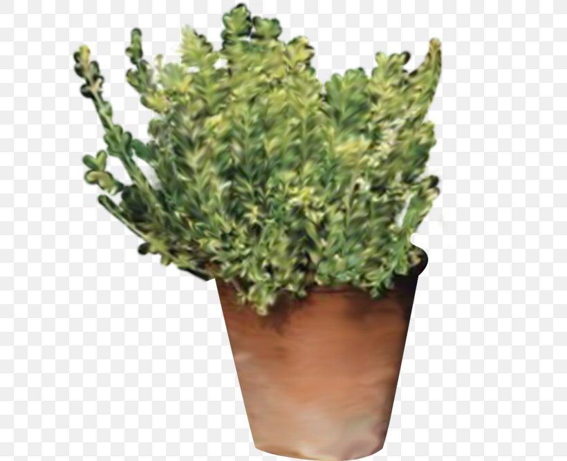 Garden Flowerpot Siesta Scrapbooking Shrub, PNG, 700x667px, Garden, Colombe, Flowerpot, Grass, Herb Download Free
