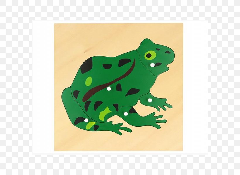 Jigsaw Puzzles Montessori Education Pedagogy Montessori Sensorial Materials, PNG, 600x600px, Jigsaw Puzzles, Amphibian, Child, Education, Educational Toys Download Free