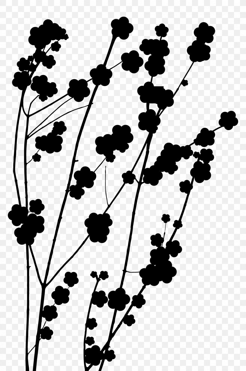 Twig Plant Stem Flower Leaf Pattern, PNG, 1563x2358px, Twig, Blackandwhite, Botany, Branch, Flower Download Free