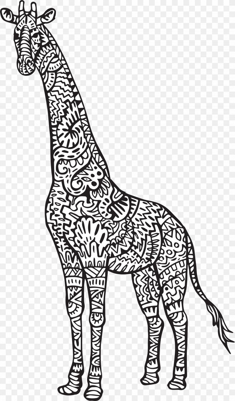 Baby Giraffes Reticulated Giraffe Coloring Book Adult Drawing, PNG, 3450x5894px, Baby Giraffes, Adult, Animal, Animal Figure, April Download Free
