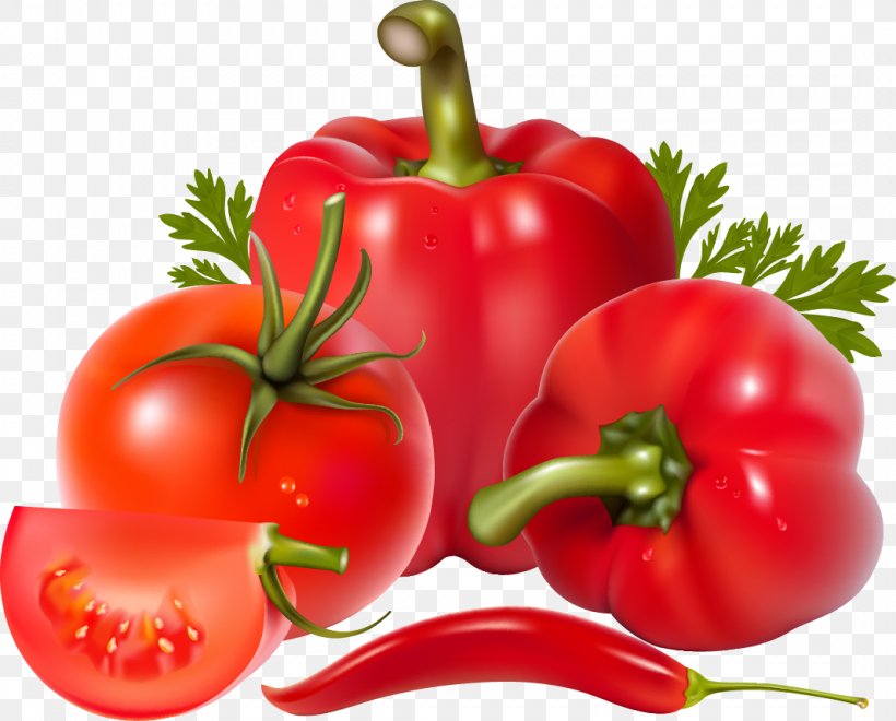 Bell Pepper Salsa Chili Pepper Vegetable Clip Art, PNG, 1066x858px, Bell Pepper, Bell Peppers And Chili Peppers, Bush Tomato, Capsicum, Capsicum Annuum Download Free